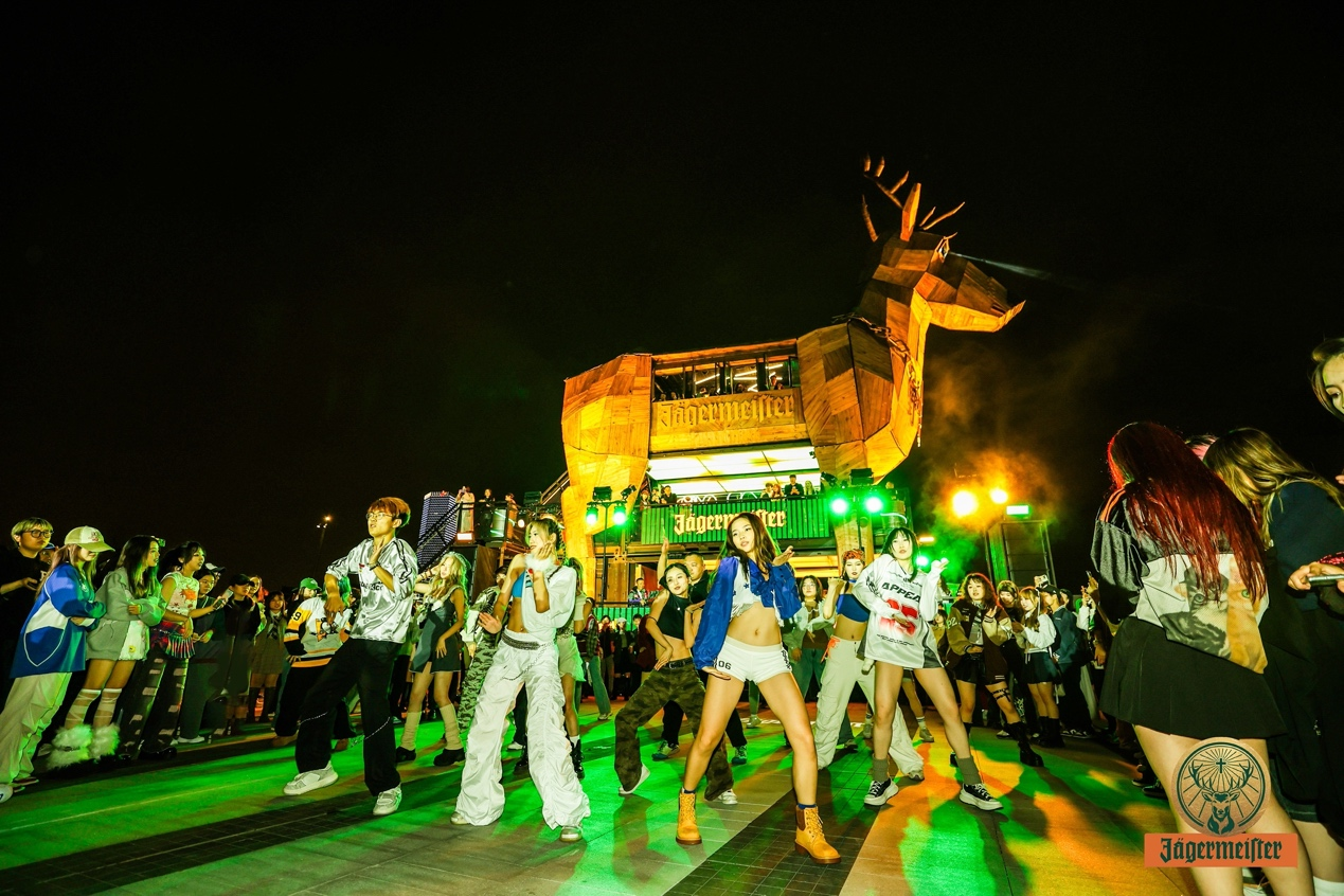 鹿境随舞街舞表演